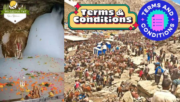Terms and Conditions